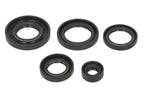 Set garnituri pentru motor WINDEROSA 822343 