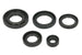 Set garnituri pentru motor WINDEROSA 822343 