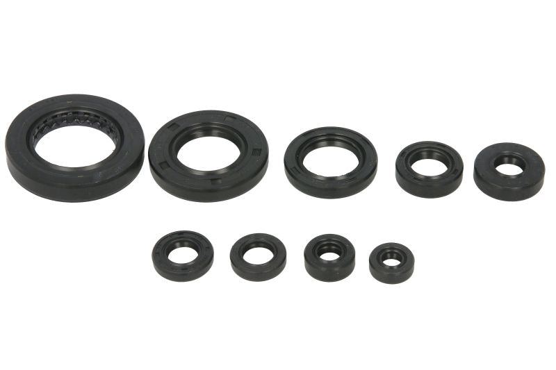 Set garnituri pentru motor WINDEROSA 822354 