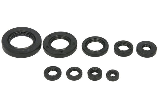 Set garnituri pentru motor WINDEROSA 822354 