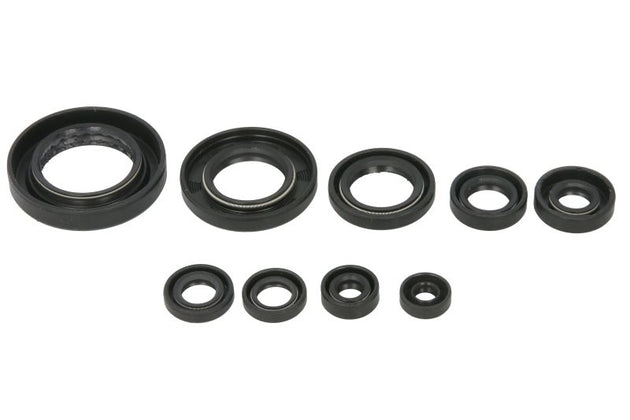 Set garnituri pentru motor WINDEROSA 822354 