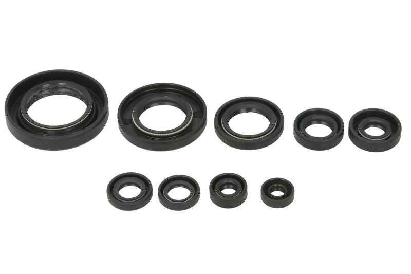 Set garnituri pentru motor WINDEROSA 822354 