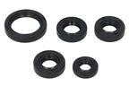 Set garnituri pentru motor WINDEROSA 822138 