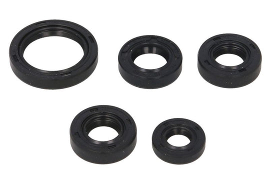 Set garnituri pentru motor WINDEROSA 822138 