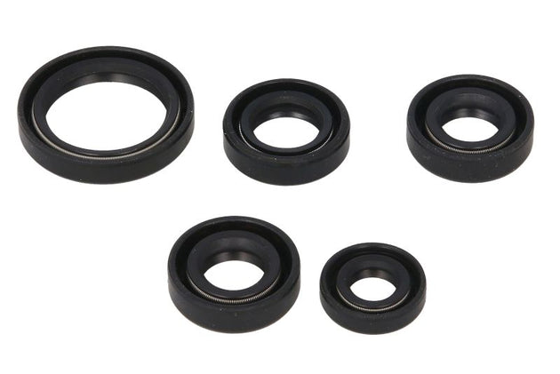 Set garnituri pentru motor WINDEROSA 822138 