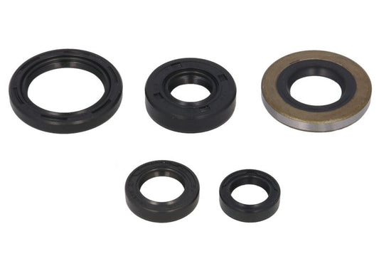 Set garnituri pentru motor WINDEROSA 822139 