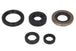Set garnituri pentru motor WINDEROSA 822139 