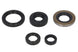 Set garnituri pentru motor WINDEROSA 822139 