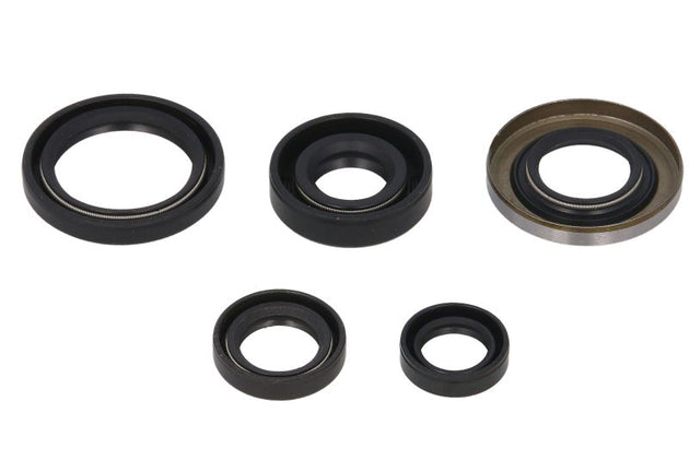 Set garnituri pentru motor WINDEROSA 822139