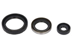 Set garnituri pentru motor WINDEROSA 822143 