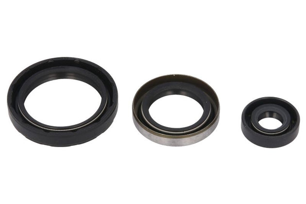 Set garnituri pentru motor WINDEROSA 822143 