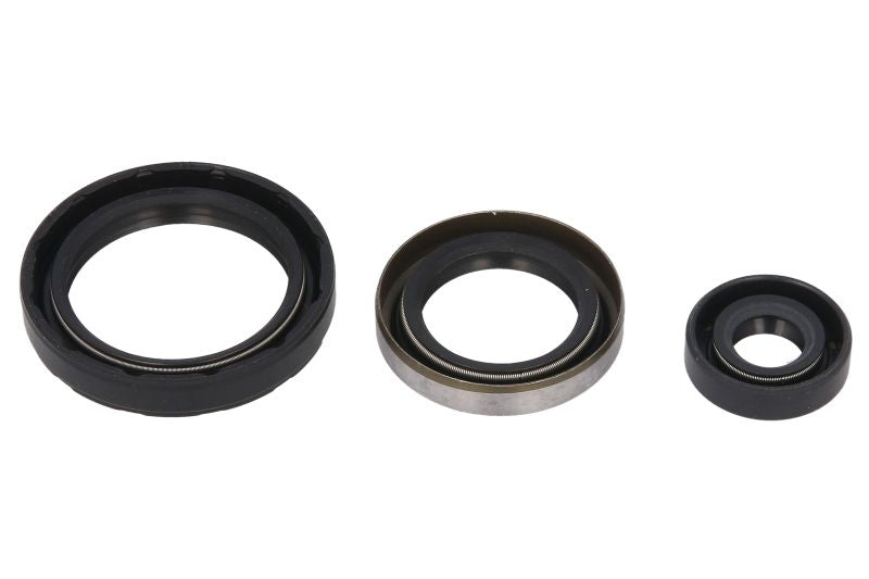 Set garnituri pentru motor WINDEROSA 822143 
