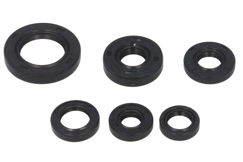 Set garnituri pentru motor WINDEROSA 822146 