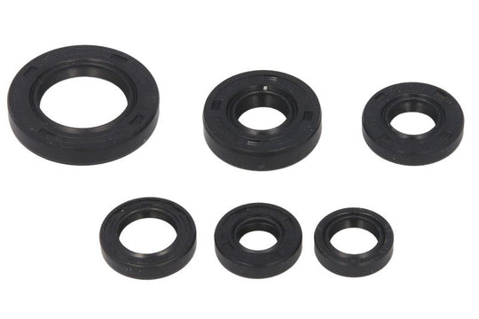 Set garnituri pentru motor WINDEROSA 822146 