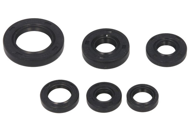 Set garnituri pentru motor WINDEROSA 822146 