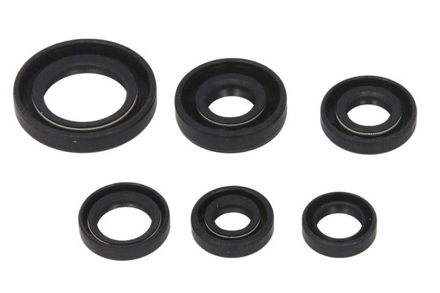 Set garnituri pentru motor WINDEROSA 822146 