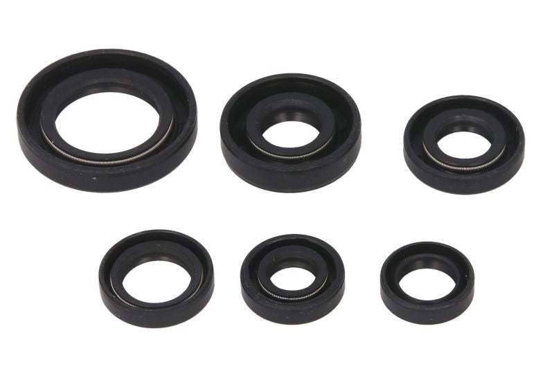 Set garnituri pentru motor WINDEROSA 822146 