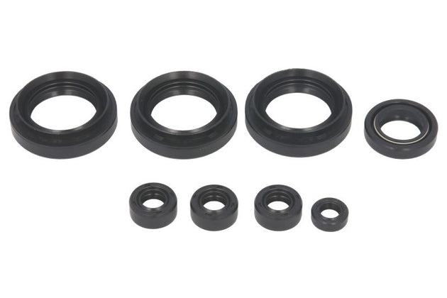 Set garnituri pentru motor WINDEROSA 822151 