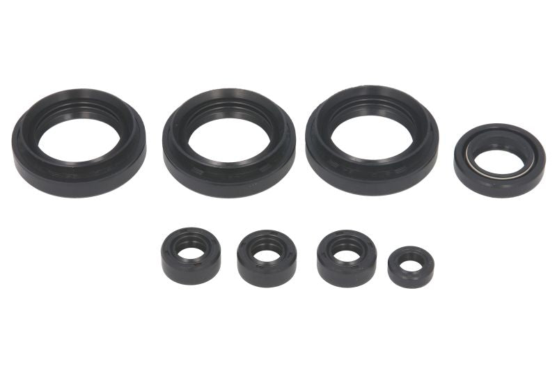 Set garnituri pentru motor WINDEROSA 822151 