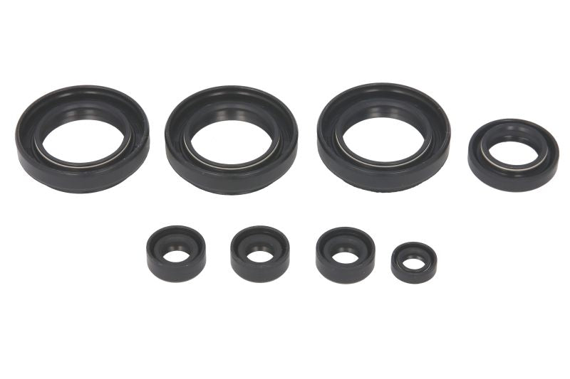 Set garnituri pentru motor WINDEROSA 822151 