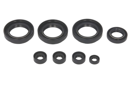 Set garnituri pentru motor WINDEROSA 822151 