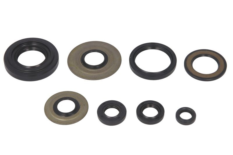 Set garnituri pentru motor WINDEROSA 822154 