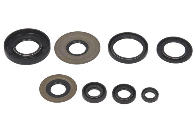 Set garnituri pentru motor WINDEROSA 822154