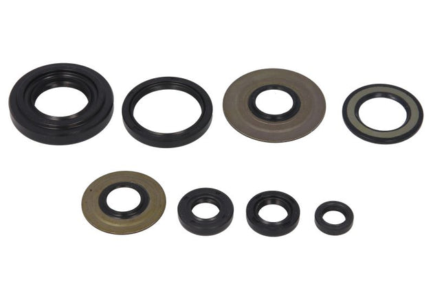 Set garnituri pentru motor WINDEROSA 822155