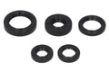 Set garnituri pentru motor WINDEROSA 822168 