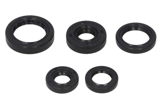 Set garnituri pentru motor WINDEROSA 822168 