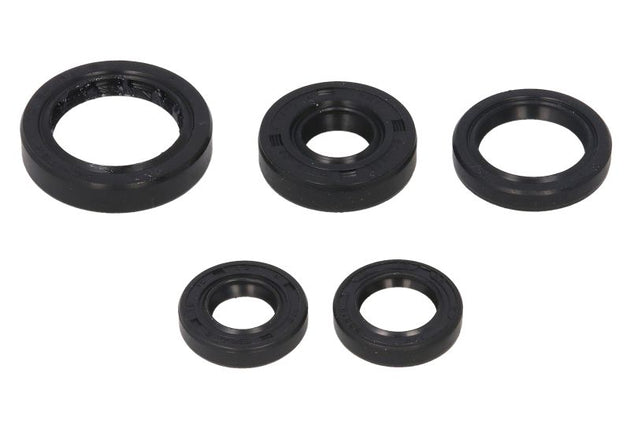 Set garnituri pentru motor WINDEROSA 822168 