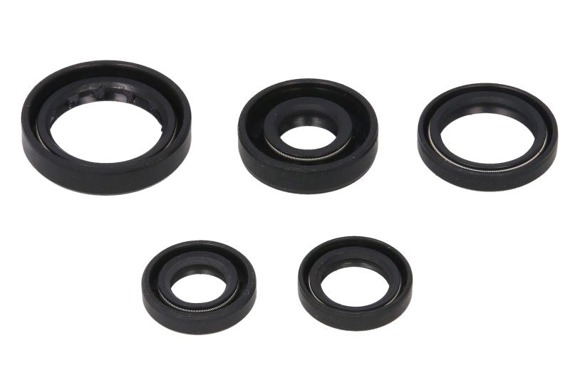 Set garnituri pentru motor WINDEROSA 822168 