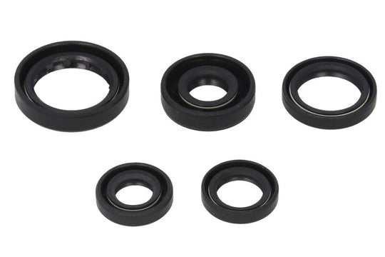 Set garnituri pentru motor WINDEROSA 822168 