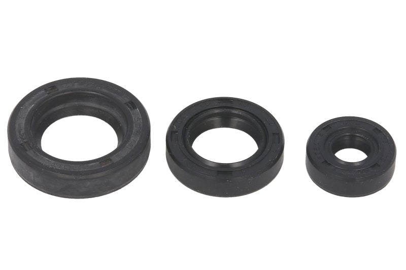 Set garnituri pentru motor WINDEROSA 822199 
