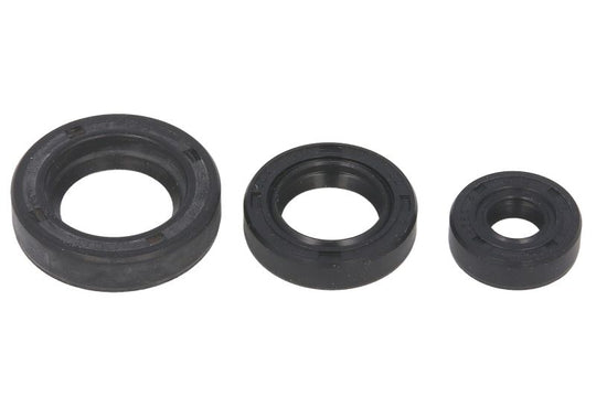 Set garnituri pentru motor WINDEROSA 822199 
