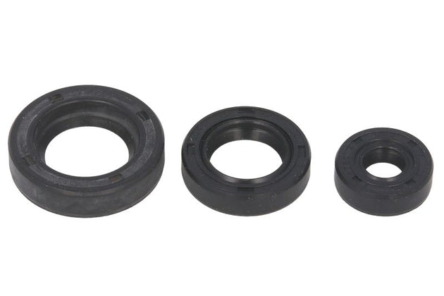 Set garnituri pentru motor WINDEROSA 822199 