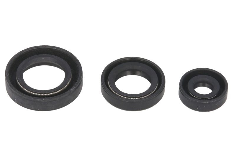 Set garnituri pentru motor WINDEROSA 822199 