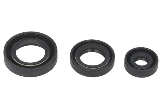Set garnituri pentru motor WINDEROSA 822199 