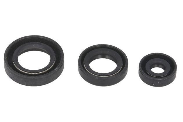 Set garnituri pentru motor WINDEROSA 822199 