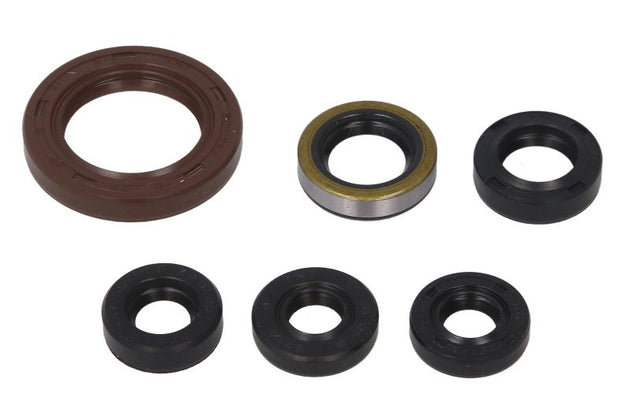 Set garnituri pentru motor WINDEROSA 822201 