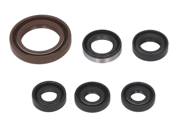 Set garnituri pentru motor WINDEROSA 822201 