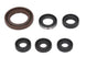 Set garnituri pentru motor WINDEROSA 822201 