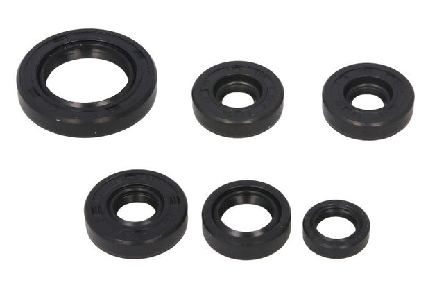 Set garnituri pentru motor WINDEROSA 822203