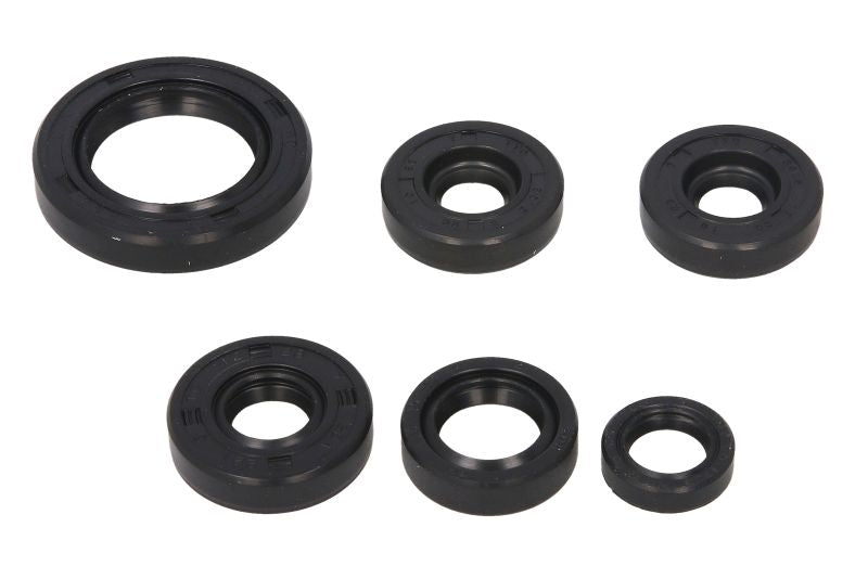 Set garnituri pentru motor WINDEROSA 822203 