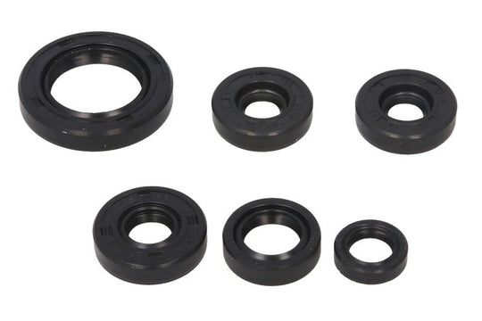 Set garnituri pentru motor WINDEROSA 822203 