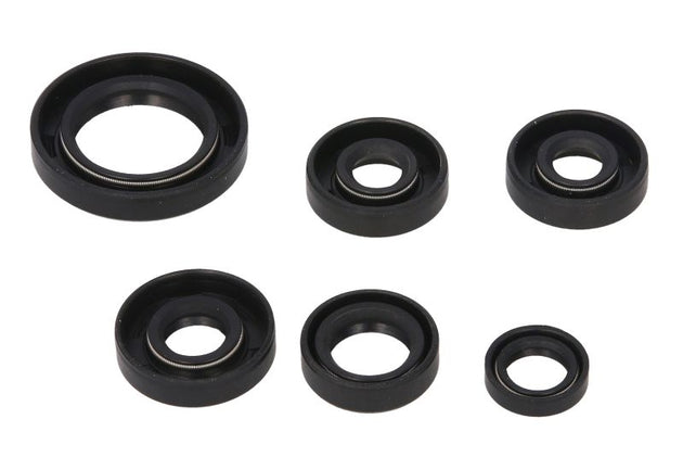 Set garnituri pentru motor WINDEROSA 822203