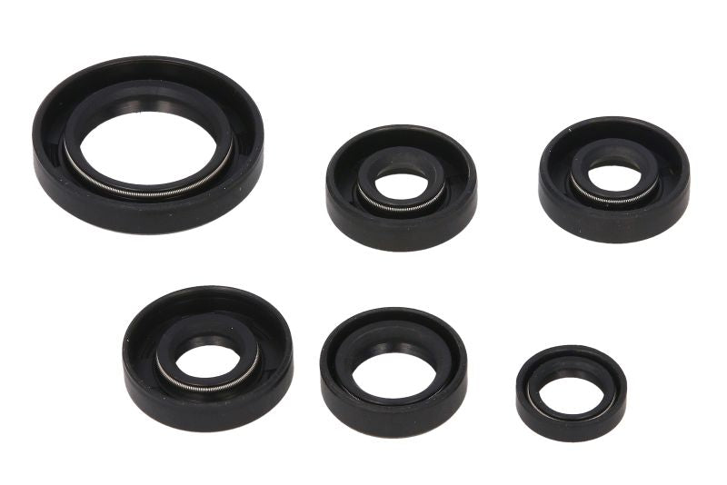 Set garnituri pentru motor WINDEROSA 822203 