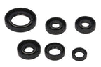 Set garnituri pentru motor WINDEROSA 822203 