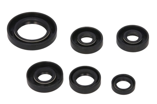 Set garnituri pentru motor WINDEROSA 822203 