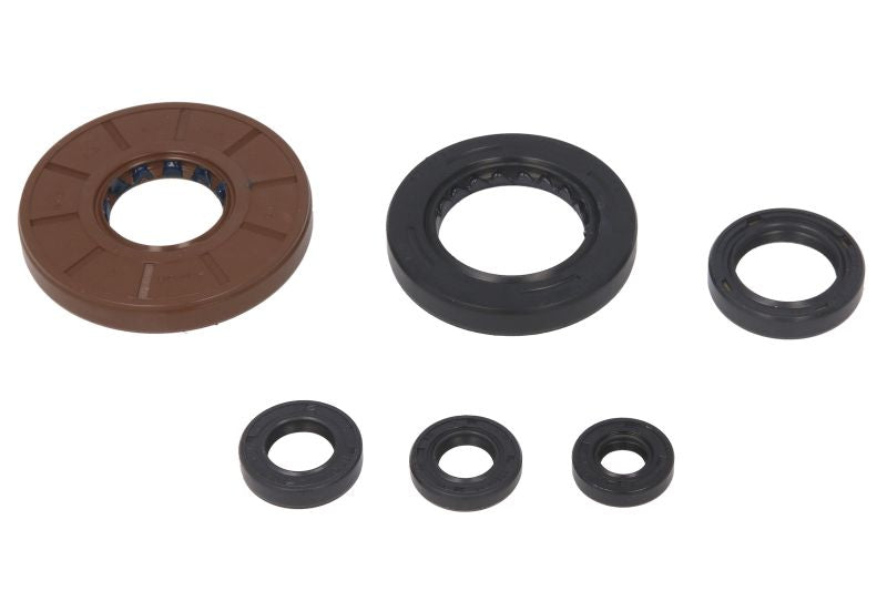 Set garnituri pentru motor WINDEROSA 822209 